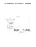 DERIVATIVES OF N-PHENYLANTHRANILIC ACID AND 2-BENZIMIDAZOLONE AS POTASSIUM     CHANNEL AND/OR NEURON ACTIVITY MODULATORS diagram and image