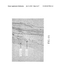 DEVICE AND METHOD FOR DETERMINING ANALYTE LEVELS diagram and image