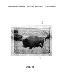 IMAGE LAYOUT ADJUSTMENT APARATUS diagram and image