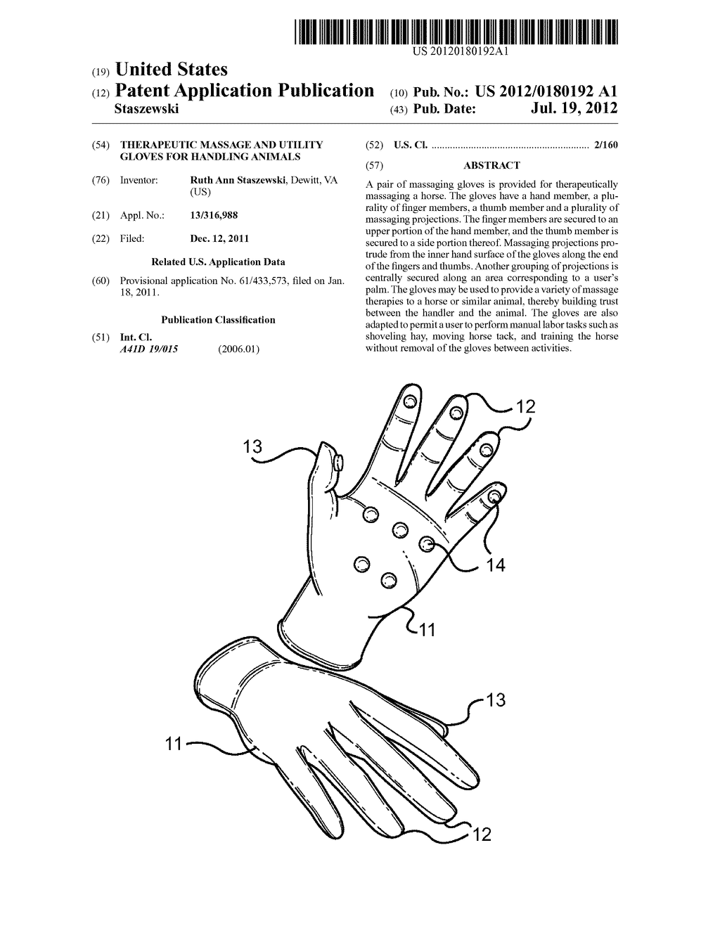 Therapeutic Massage and Utility Gloves for Handling Animals - diagram, schematic, and image 01