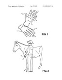 Therapeutic Massage and Utility Gloves for Handling Animals diagram and image