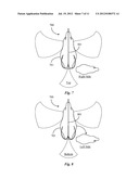 Fishing Lure Imitating Winged Prey diagram and image