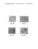 Method for Chemically Modifying the Internal Region of a Hair Shaft diagram and image