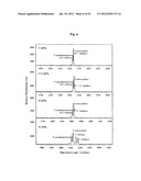 FILLER FOR ANALYZING CAPILLARY ELECTROPHORESIS-BASED SINGLE STRAND     CONFORMATION POLYMORPHISM, AND METHOD FOR USING THE FILLER FOR ANALYZING     CAPILLARY ELECTROPHORESIS-BASED SINGLE STRAND CONFORMATION POLYMORPHISM diagram and image