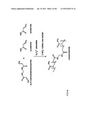 METHODS FOR THE DETECTION OF BIOLOGICALLY RELEVANT MOLECULES AND THEIR     INTERACTION CHARACTERISTICS diagram and image