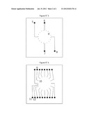 FLUIDIC DEVICE FOR ELECTROPHORESIS OF MOLECULES diagram and image