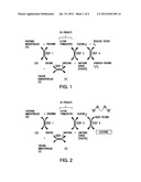 Amperometric Creatinine Biosensor With Immobilized Enzyme-Polymer     Composition And Systems Using Same, And Methods diagram and image