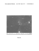 PROCESS FOR REMEDIATION OF PLASTIC WASTE diagram and image