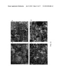 PROCESS FOR REMEDIATION OF PLASTIC WASTE diagram and image