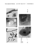 PROCESS FOR REMEDIATION OF PLASTIC WASTE diagram and image