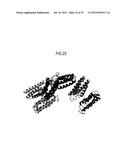 PROTEIN PHOTOELECTRIC CONVERSION DEVICE, PHOTOELECTRIC CONVERSION SYSTEM,     PROTEIN PHOTOELECTRIC CONVERSION DEVICE MANUFACTURING METHOD,     PHOTOELECTRIC CONVERSION SYSTEM MANUFACTURING METHOD AND     PROTEIN-IMMOBILIZED ELECTRODE diagram and image