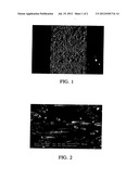 Method Of Producing A Thermoplastically Moldable Fiber-Reinforced     Semifinished Product diagram and image