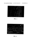 Method Of Producing A Thermoplastically Moldable Fiber-Reinforced     Semifinished Product diagram and image