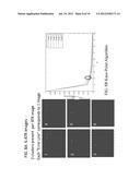 SYSTEM AND METHOD FOR MOVING TARGET DETECTION diagram and image