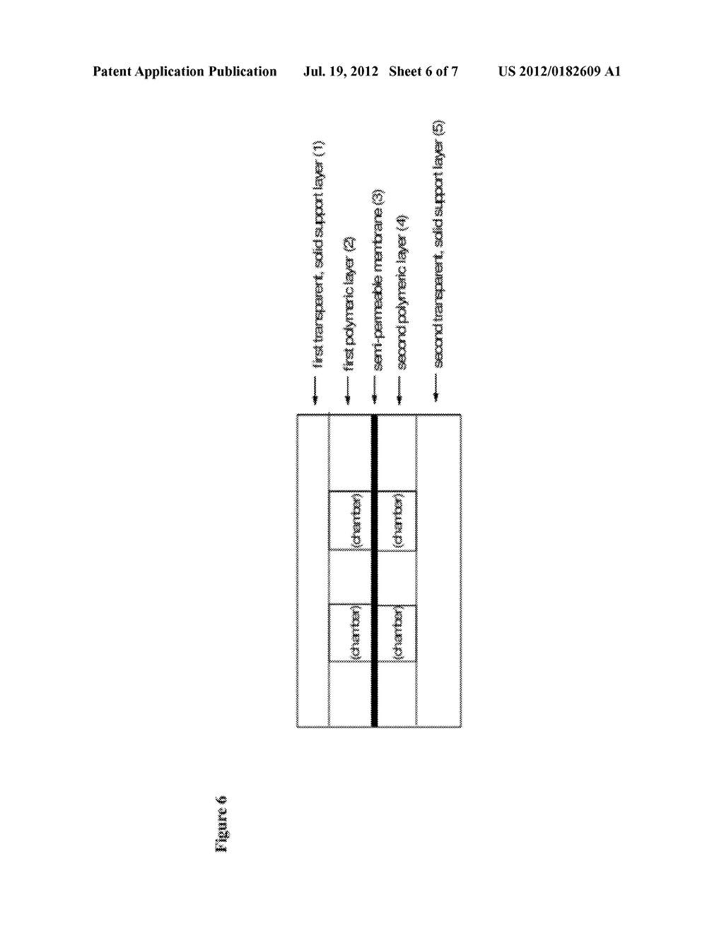 MEMBRANE-INTEGRATED MICROFLUIDIC DEVICE FOR IMAGING CELLS - diagram, schematic, and image 07