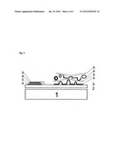 SENSOR HAVING A COLOR-CHANGEABLE SENSORY SURFACE diagram and image