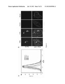 GAMMA SECRETASE INHIBITOR FOR TREATMENT OF HERPESVIRUS INFECTION diagram and image