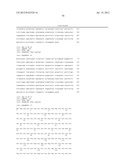 COMPOSITIONS AND METHODS OF USE FOR THERAPEUTIC ANTIBODIES diagram and image