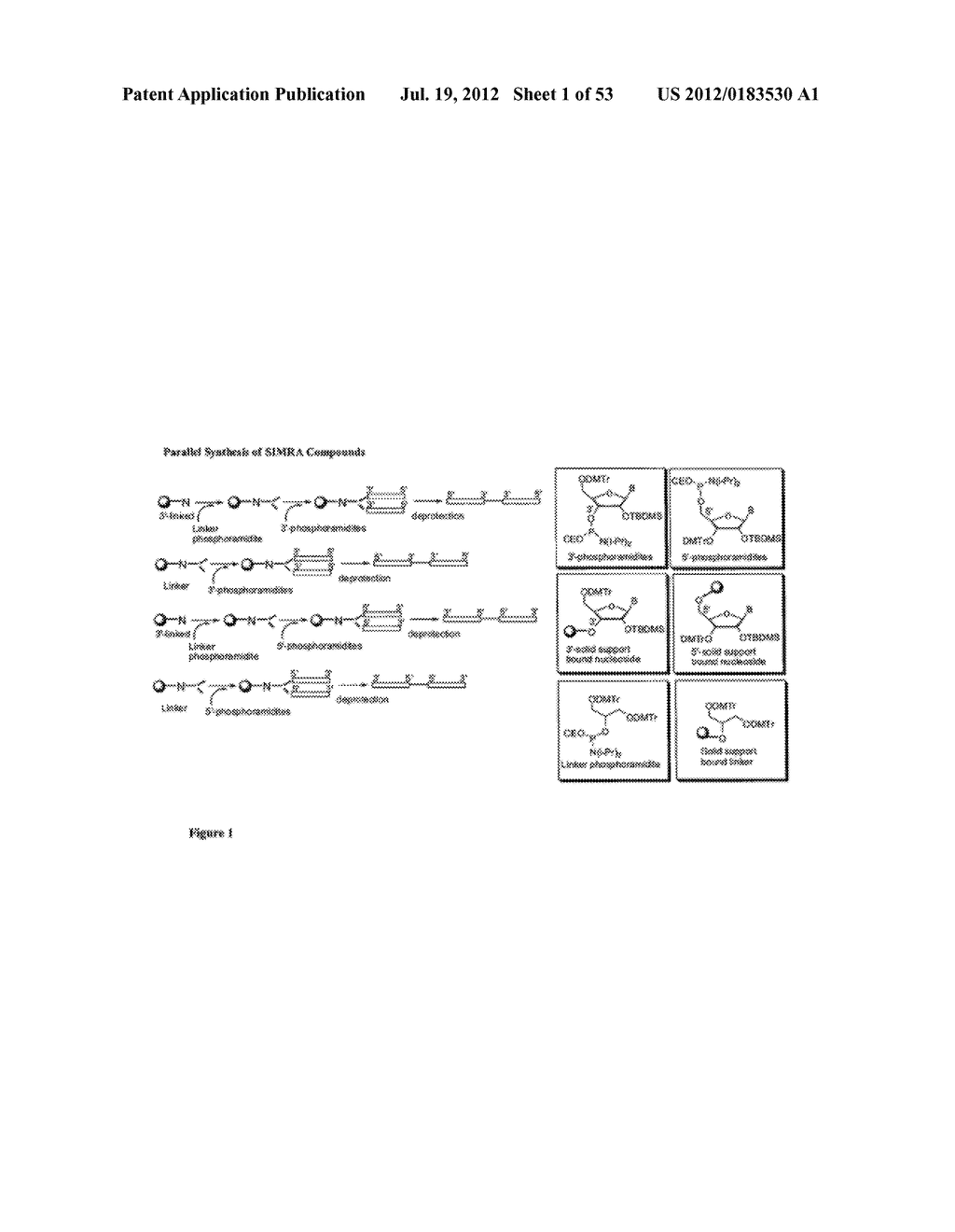 STABILIZED IMMUNE MODULATORY RNA (SIMRA) COMPOUNDS - diagram, schematic, and image 02