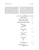 STABILIZED IMMUNE MODULATORY RNA (SIMRA) COMPOUNDS diagram and image