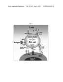  USE OF INHIBITORS OF BRUTON S TYROSINE KINASE (BTK) diagram and image