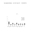  USE OF INHIBITORS OF BRUTON S TYROSINE KINASE (BTK) diagram and image