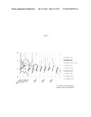  USE OF INHIBITORS OF BRUTON S TYROSINE KINASE (BTK) diagram and image