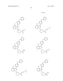  USE OF INHIBITORS OF BRUTON S TYROSINE KINASE (BTK) diagram and image