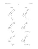  USE OF INHIBITORS OF BRUTON S TYROSINE KINASE (BTK) diagram and image