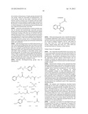  USE OF INHIBITORS OF BRUTON S TYROSINE KINASE (BTK) diagram and image