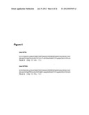 CD20-Binding Polypeptide Compositions and Methods diagram and image