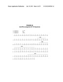 FULLY HUMAN ANTIBODIES TO BTLA diagram and image