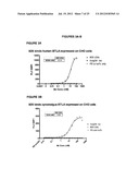 FULLY HUMAN ANTIBODIES TO BTLA diagram and image