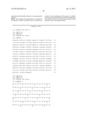 FULLY HUMAN ANTIBODIES TO BTLA diagram and image