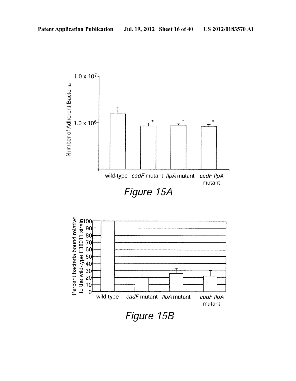 ANTIGEN COMPOSITIONS AND METHODS OF INHIBITING CAMPYLOBACTER JEJUNI     BACTERIAL INFECTION AND USES OF THE ANTIGEN COMPOSITIONS - diagram, schematic, and image 17