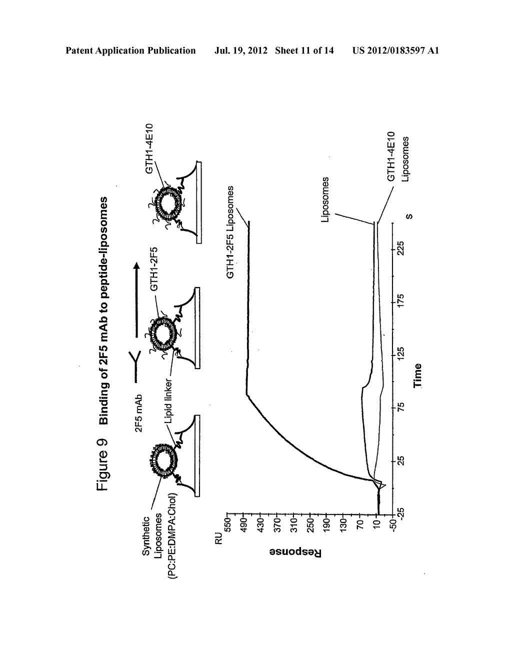 Method of inducing neutralizing antibodies to human immunodeficiency virus - diagram, schematic, and image 12