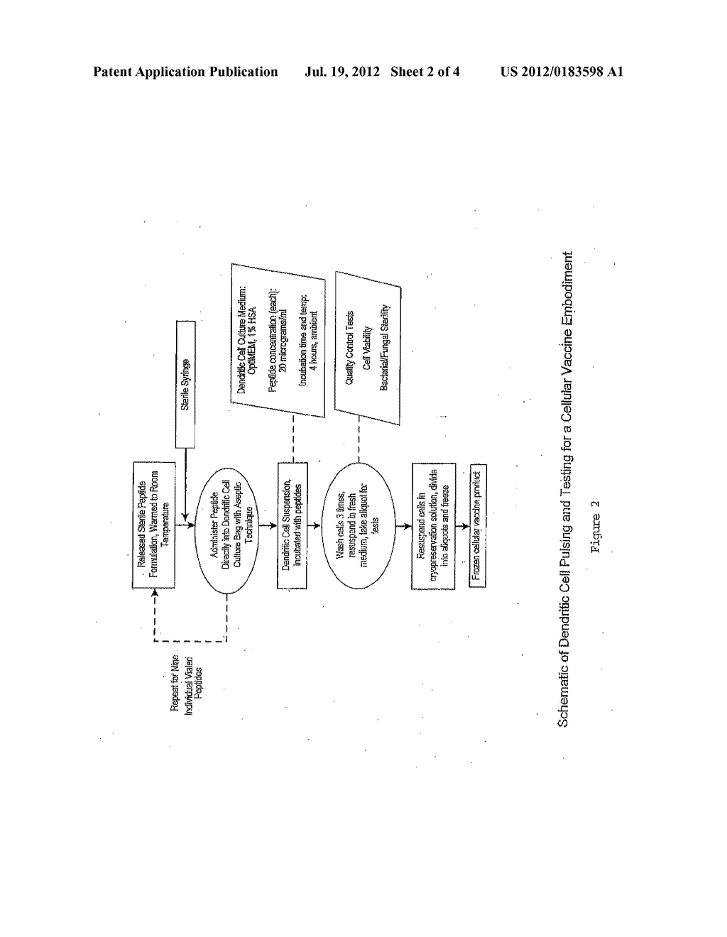 HLA-A2 TUMOR ASSOCIATED ANTIGEN PEPTIDES AND COMPOSITIONS - diagram, schematic, and image 03