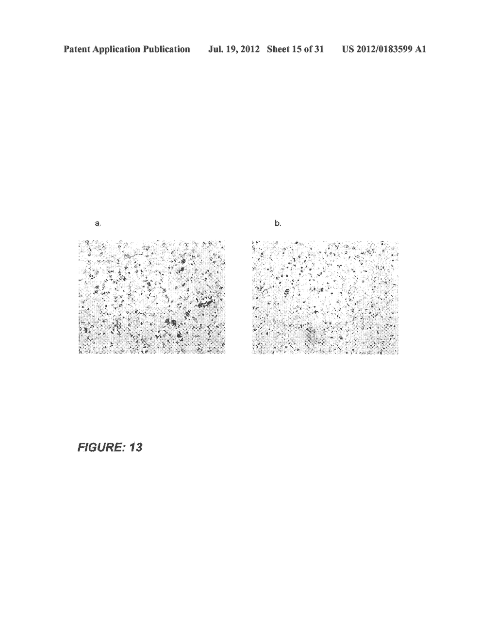 Pharmaceutical Composition - diagram, schematic, and image 16