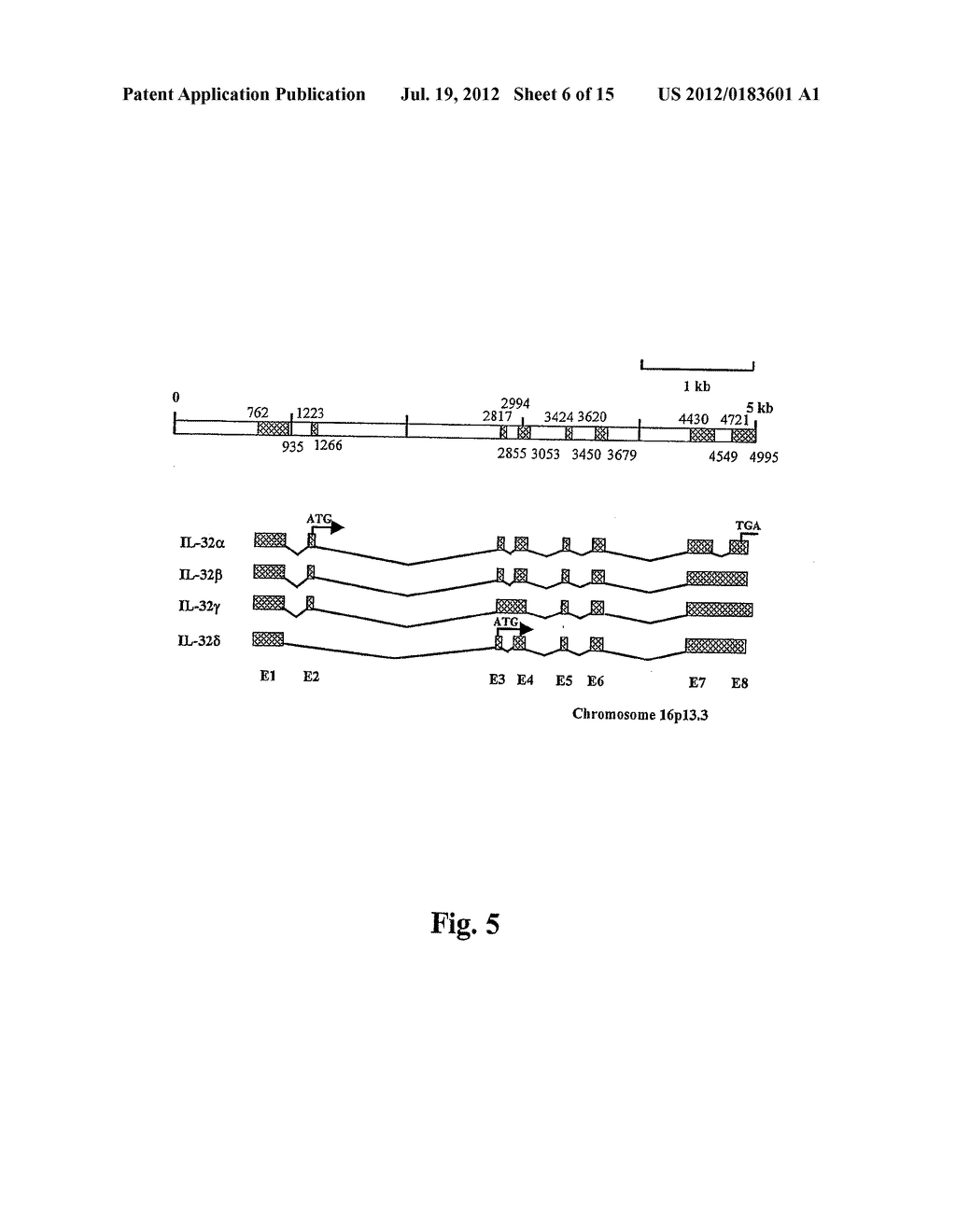 Compositions And Methods For Regulation Of Tumor Necrosis Factor-Alpha - diagram, schematic, and image 07