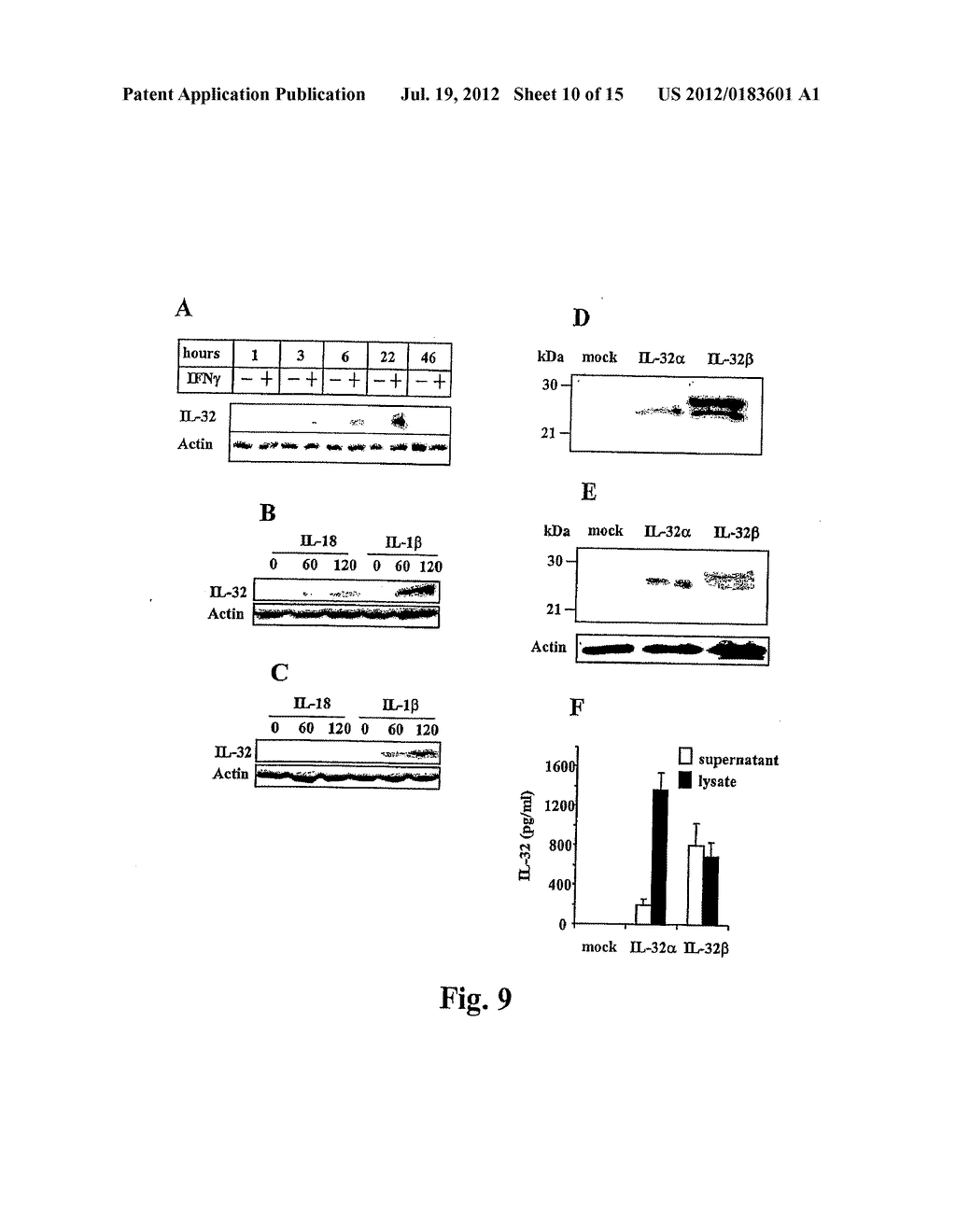 Compositions And Methods For Regulation Of Tumor Necrosis Factor-Alpha - diagram, schematic, and image 11