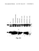 INHIBITORS OF HEDGEHOG SIGNALING PATHWAYS, COMPOSITIONS AND USES RELATED     THERETO diagram and image