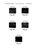 INHIBITORS OF HEDGEHOG SIGNALING PATHWAYS, COMPOSITIONS AND USES RELATED     THERETO diagram and image