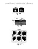 INHIBITORS OF HEDGEHOG SIGNALING PATHWAYS, COMPOSITIONS AND USES RELATED     THERETO diagram and image