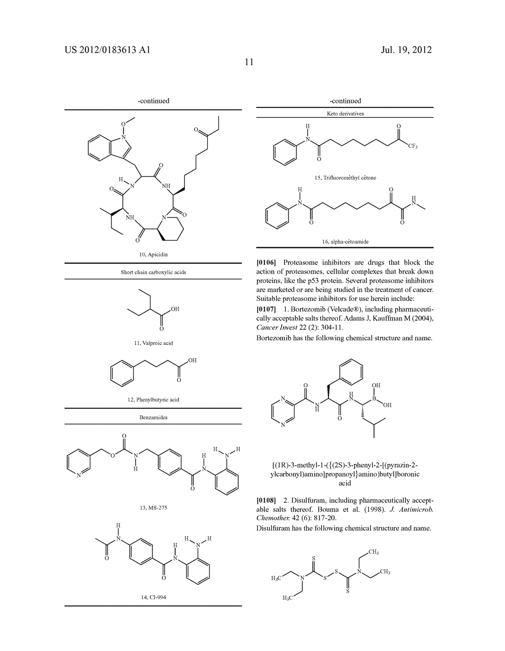 Novel Pharmaceutical Composition - diagram, schematic, and image 14