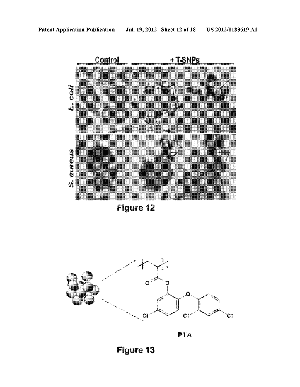 TRICLOSAN DERIVATIVES AND NANOPARTICLES COMPRISING SAME - diagram, schematic, and image 13