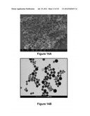 TRICLOSAN DERIVATIVES AND NANOPARTICLES COMPRISING SAME diagram and image