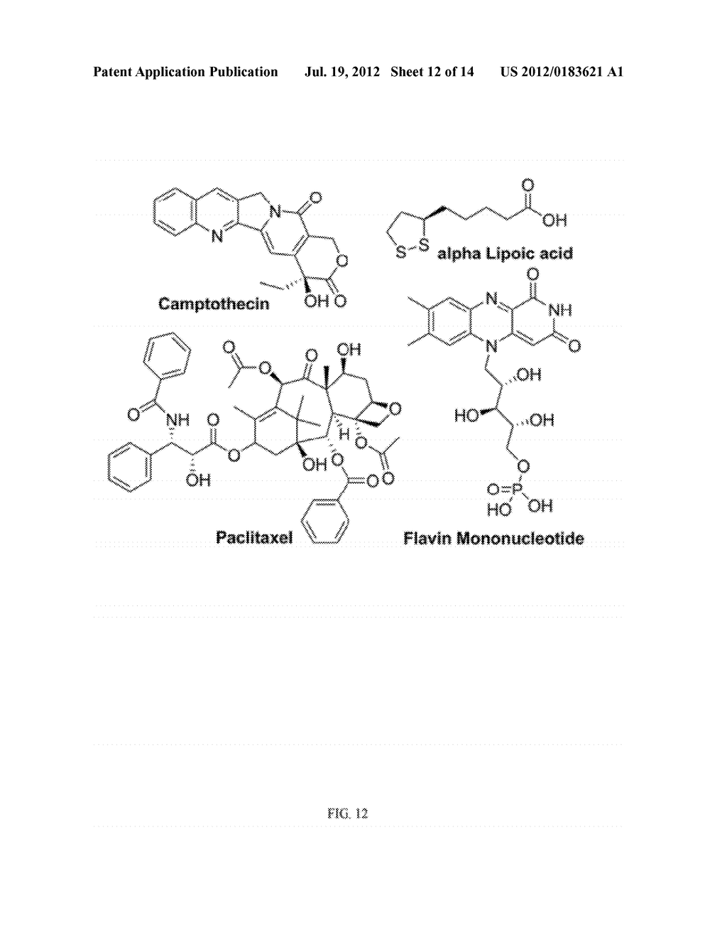 SYNERGISTIC COMBINATIONS TO REDUCE PARTICLE DOSE FOR TARGETED TREATMENT OF     CANCER AND ITS METASTASES - diagram, schematic, and image 13