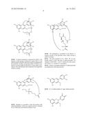 STABILIZED ANTHOCYANIN COMPOSITIONS diagram and image