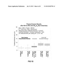 THERMAL SPRAY COMPOSITE COATINGS FOR SEMICONDUCTOR APPLICATIONS diagram and image