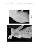 DECELLULARIZATION AND RECELLULARIZATION OF ORGANS AND TISSUES diagram and image